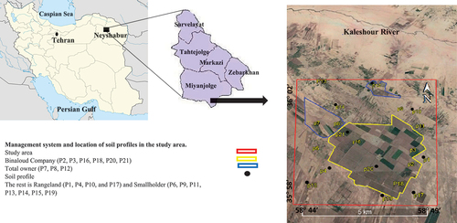 Figure 1. The location of the soil profile and management system in Neyshabur plain, northeastern Iran.