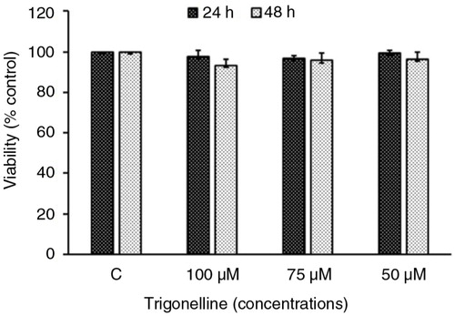 Fig. 2 Evaluation of cytotoxicity after incubation of Hep3B cells with trigonelline. Cells were incubated with vehicle alone or with 50, 75, or 100 µM trigonelline for 24 and 48 h. After incubation, the viable cells were measured by MTT assay. The data are presented as proportional viability (%) by comparing the treated group with the untreated group, the viability of which was assumed to be 100%. All results are expressed as the mean percentage of control ±SD of triplicate determinations from four independent experiments.