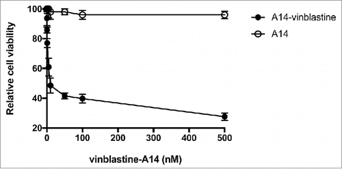 Figure 8. In vitro treatment of HT-1376 cells by vinblastine-A14. The anti-proliferation cytotoxicity of HT-1376 cells treated with either A14 or vinblastine-A14. Relative cell viability is plotted versus increasing concentration (nM) of A14 or vinblastine-A14.