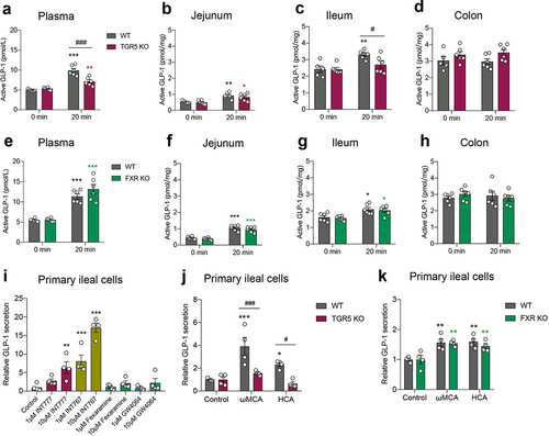 Figure 4. Bile acid receptor TGR5 but not FXR mediates postprandial GLP-1 response in the circulation and ileum. (a-d) GLP-1 response after olive oil gavage in the plasma (a) and intestinal tissue (b-d) of wild-type (WT) and TGR5 KO mice (n = 5–6/time point/group). (e-h) GLP-1 response after olive oil gavage in the plasma (e) and intestinal tissue (f-h) of WT and FXR KO mice (n = 6/time point/group). (i) The effect of TGR5 or FXR agonists on GLP-1 secretion in primary ileal cells isolated from SPF mice (n = 4 per group). (j, k) The effect of ωMCA and HCA on GLP-1 secretion in primary ileal cells isolated from WT vs. TGR5 KO mice (j) and WT vs. FXR KO mice (k) (n = 4 per group). Data are shown as mean ± SEM. *P < .05, **P < .01, ***P < .001, vs. 0 min or control; #P < .05, ###P < .001, vs. WT mice. Statistical significance was determined by (a-h, j, k) two-way ANOVA with the Dunnett’s posttest or (i) one-way ANOVA with the Dunnett’s posttest.