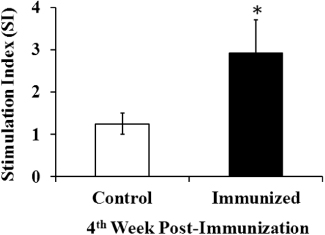 Figure 4. Stimulation index of chicken lymphocyte samples from the peripheral lymphocyte proliferation assay using soluble antigen at the fourth week post immunization. *Significant differences between the values of the immunized group and those of the control group (P ≤ 0.05).