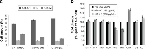 Figure 5 FACS analysis.Notes: Cytofluorimetry of B16F10 cells treated for 72 hours with PBS, ND (200 μg/mL), ND + C (125 μg/mL or 200 μg/mL), DMSO, and C (400 μM or 640 μM) is shown (A, B, and C). For each sample, the number of cells detected in the three cell cycle phases (G0–G1, S, and G2–M) is reported in percentage. Gene transcription analysis carried out by real-time PCR was performed after treatment for 72 hours, with ND (200 μg/mL) and ND + C (125 μg/mL or 200 μg/mL) (D). mRNA levels for each gene were first normalized for GAPDH transcript amount and then indicated as percentage of fold change with respect to ND (200 μg/mL) specimen, considered as unit (100%). Data are expressed as mean ± SD and represent the results obtained by performing three independent experiments (P<0.05 vs control for the experiments reported in A–C, and P<0.01 vs control for the experiments in D).Abbreviations: FACS, fluorescence-activated cell sorting; PBS, phosphate-buffered saline; ND, nanodiamond; C, citropten; DMSO, dimethyl sulfoxide; PCR, polymerase chain reaction; SD, standard deviation; CNT, control; MITF, microphthalmia-associated transcription factor; TYR, tyrosinase; TRP, tyrosinase-related protein; GDF, growth-differentiation factor; VIM, vimentin; INT,ανβ3-integrin; COF, cofilin; TUB, β-tubulin; ACT, β-actin.