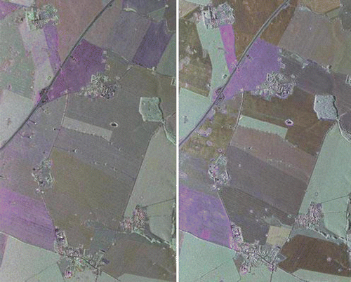 Figure 2.  Two images taken by the C band DLR–SAR system (19 April and 24 May 2006),in Demmin, an agricultural site located in Mecklenburg–Vorpommern in North-East Germany.