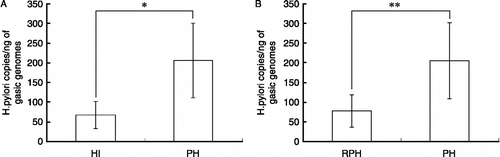 Figure 3  Number of copies of H. pylori in stomach tissue. Groups: infection (HI), PH, and RPH groups; n = 8 per group. HI was detected by real-time PCR Data are expressed as the mean ± SD. The number of H. pylori copies/ng of gastric genome in the PH group was significantly greater than in the HI group (A). The number of H. pylori copies in the RPH group was significantly lower than that of the PH group (B). Statistically significant differences are indicated: *P < 0.05; **P < 0.05.