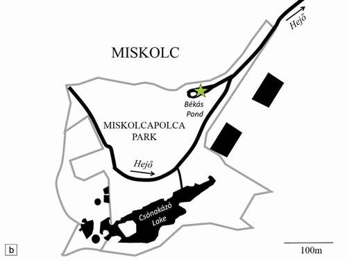 Figure 1. Location of Békás Pond (green asterisk) on the map of Hungary (a), and a detailed map of the Miskolctapolca Park (b)