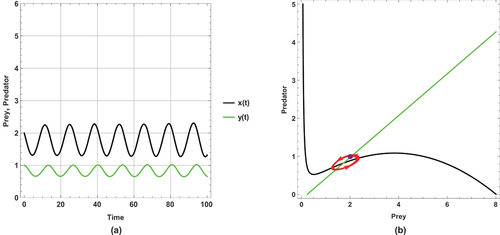 Figure 8. (a) Time series (b) nullclines and phase portrait trajectories of the second set of system (2) when (m=0.1). Other parametric and initial values are: r=1, k=8, α=7.00, h=0.50, u=0.45, e=0.5, x(0)=2, y(0)=1.