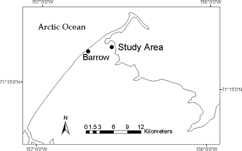 FIGURE 2 Location of the study site near the town of Barrow on the North Slope of Alaska.