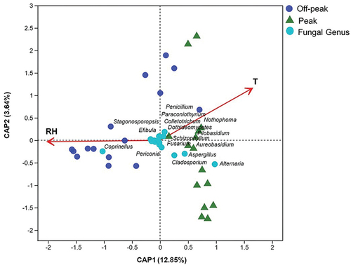 Figure 7. Influence of environmental variables on the fungal community. Distance-based redundancy analysis of the fungal communities, with symbols coded by sampling locations and fungal genera, while T and RH refer to “temperature” and “relative humidity”, respectively.