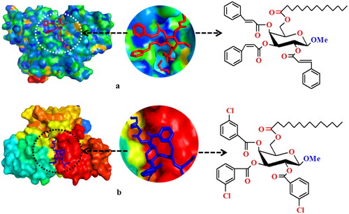 Figure 4. Docking conformation of derivative (8) at inhibition bounding site of 1RXF (a) and Docking conformation of derivative (10) at inhibition bounding site of 1RXF (b).