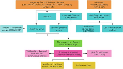 Figure 1 Flowchart of the study.