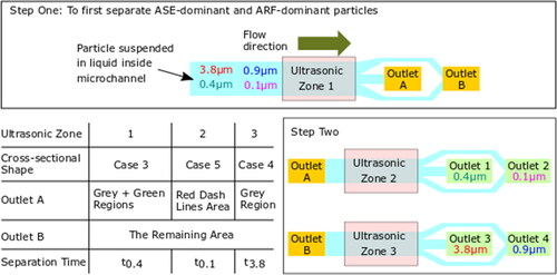Figure 9. Schematic diagram of the particle sorting system using ASE.