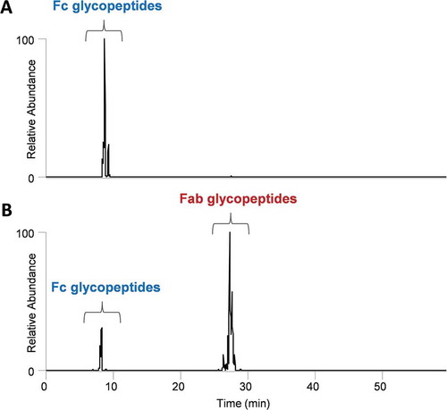 Figure 3. Rapid identification of Fab glycosylation in mAbs by HexNAc oxonium ion profiling. mAb1 (A.) only has Fc glycosylation; however, mAb2 has both Fc and Fab glycosylation. The proposed methodology can be utilized to assess the presence or absence of site-specific glycosylation.