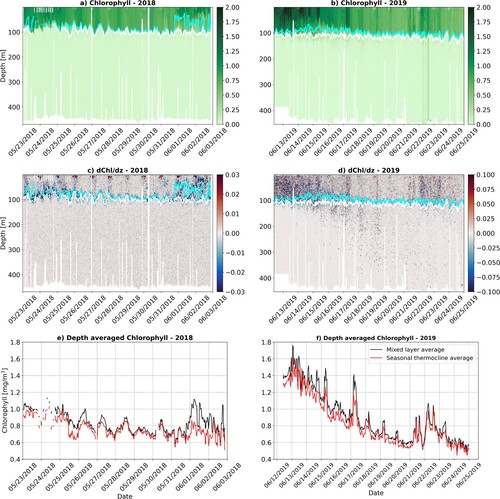 Figure 6. Glider chlorophyll a (Chl-a) concentration (mg/m3) (a and b) and vertical Chl-a gradient (dChl/dz) (c and d) for the May 2018 (left panels) and June 2019 (right panels) glider deployments. The cyan and white lines indicate the mixed layer (ML) depth and depth of the seasonal thermocline. (e and f) Depth averaged Chl-a concentrations from the glider deployments within the ML (black) and above the seasonal thermocline (red).