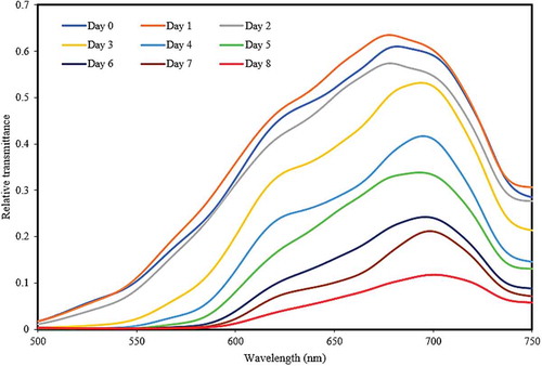 Figure 3. Mean transmission spectra of eggs at different incubation time in the visible region.