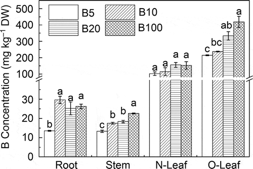 Figure 2 Boron (B) concentration of the root, stem, new leaves (N-Leaf) and old leaves (O-Leaf) between different B treatments. Different letters indicate significant differences at P < 0.05 by Tukey (n = 3). DW, dry weight.