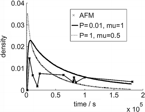 Figure 3 Cluster density (number per 3 × 3 nm area) evolution over time from AFM images and the simulation models.