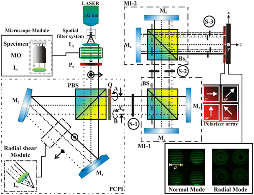 Figure 1. Polarization phase-shifting triple-interferometer. Li: Lens. MO: Microscope objective. BS: Beam splitter. PBS: Polarizing Beam splitter. Pi: Lineal polarizer filters. Mi: Mirrors. Beam cross section a = 2 mm. x0 = 2.5 mm. L1 = 100 mm (Video 1).