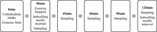 Figure 2 The flow diagram for blood sampling after exercise. Activities were sorted at each time point.