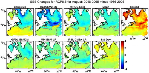 Fig. 12 Changes in bidecadal monthly SSS from 1986–2005 to 2046–2065 for RCP8.5 for August from the six ESMs (first three columns). The ensemble mean, SDm, and spread of the changes are also shown for grid points with values from at least three ESMs. The grey contour represents the 0 isohaline.