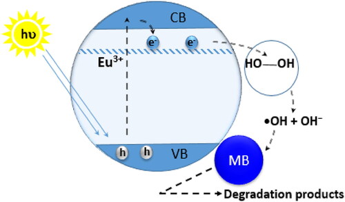 Figure 12. Photocatalytic mechanism for the degradation of MB by Eu-doped ZnO.