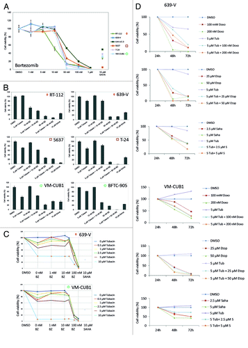 Figure 8. Effects of Tubacin, the proteasome inhibitor bortezomib, and agents inducing DNA damage on cell viability of urothelial cancer cell lines. (A) Cell lines were treated with various concentrations of bortezomib to determine IC50 values. The percentage of viable cells is displayed on the y-axis. SAHA was used as a positive control and cells administered with DMSO as negative control. Cell lines are ordered by HDAC6 expression levels (high expression ◇, RT-112-, UM-UC-3; moderate □, 5637-, T-24; low ○, VM-CUB1). To check for synergistic effects cell viability was determined after single and combined treatment in a number of urothelial cancer cell lines (B) and in an extended dose response curve for 639-V and VM-CUB1 (C). Similarly, potential synergistic effects on cell viability were investigated after single and combined treatment of Tubacin with doxorubicin, etoposide, and SAHA over 72 h in 639-V and VM-CUB1 cells (D).