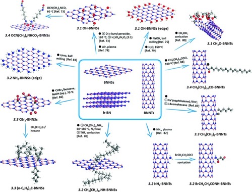 Figure 2 Schematics representation of different functionalization strategy of BN nanomaterials.Notes: Weng Q, Wang X, Wang X, Bando Y, Golberg D. Functionalized hexagonal boron nitride nanomaterials: emerging properties and applications. Chem Soc Rev. 2016;45(14):3989–4012. Published by The Royal Society of Chemistry.Citation6