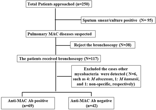 Figure 1 Patient enrolment and identification of pulmonary Mycobacterium avium complex (MAC) diseases. The flow chart shows the number of patients from enrolment to identification of the patients with bronchial lavage culture and titers of anti-glycopeptidolipid-core IgA antibody (anti-MAC Ab). We excluded the cases other mycobacteria were detected.