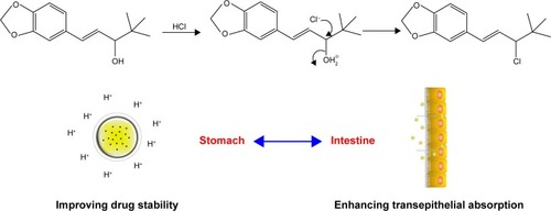 Figure 1 Schematic illustration of the engineering of STP-NEs: the acidolytic route of STP and approach for bioavailability enhancement via nanoemulsions.Abbreviations: STP, stiripentol; STP-NEs, stiripentol-loaded nanoemulsions.