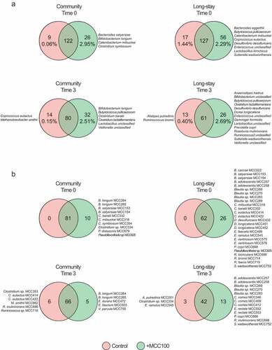 Figure 6. (a) Shared and unique bacterial species identified by 16S rRNA gene sequencing analysis at time 0 and time 3 in MCC100 supplemented (green) and control (red) fermentations for community and long-stay microbiota types (species that were present in both technical replicates and in at least 50% of the samples in each group). (b) MCC100 taxa identified as indicated in Figure 3 in the same samples