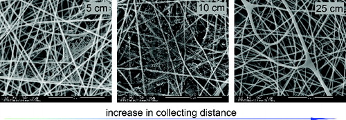 FIG. 4. SEM images of the electrospun media collected with different collecting distances. The polymer solution concentration was 20% for all the samples.