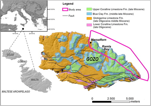 Figure 2. Geology of the Island of Gozo (CitationOil Exploration Directorate, 1993) and location of the study area.