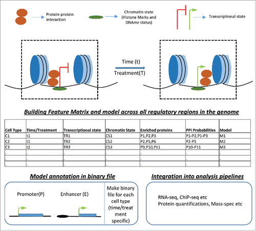 Figure 2. Integration of multilevel datasets. For every regulatory region (i.e., promoter and enhancer) in any cell type, data from different experiments, such as protein–protein interaction, chromatin state and transcription state in a temporal (t)/treatment (T)-specific manner, should be recorded in files. These files should be integrated in every genomic analysis to provide regulatory events enriched at the sites critical for a given analysis.