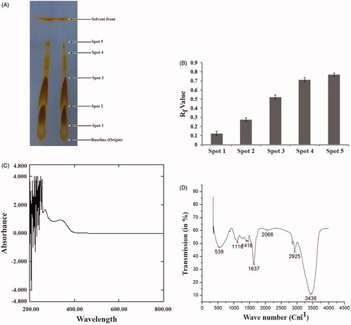 Figure 1. Estimation of presence of several phytoconstituents in SVE. (A) Thin layer chromatographic (TLC) separation of phytoconstituents in SVE. Presence of spot 1, 2, 3, 4 and 5 over TLC plate indicates presence of five different types of compounds in the extract. (B) Determined Rf value of each compound present in spot 1, 2, 3, 4 and 5 in TLC plate. Rf values were determined from the distance of spot 1, 2, 3, 4 and 5 with respect to the distance of solvent front of polar mobile phase from the origin point. Each value is the average of triplicate assay where presented data are mean ± SD. (C) UV–vis spectroscopic analysis of the SVE. Obtained graph shows several peaks in UV region which represents the presence of active phytochemicals in the extract. (D) IR spectroscopic analysis of SVE where obtained graph shows several peaks having different wave number. These represent several functional groups that are present in the SVE.