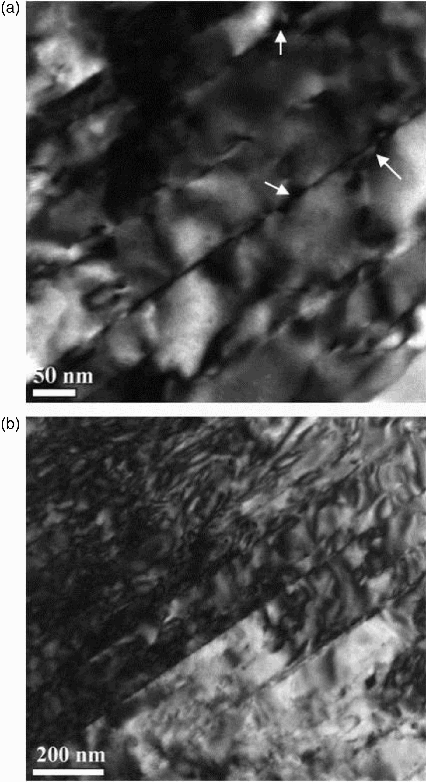 Figure 5. TEM images of 88% hot rolled sample after tensile test. (a) Fragments of SFs cut by the dislocations marked by white arrows (b) High density of dislocations was trapped between SFs.