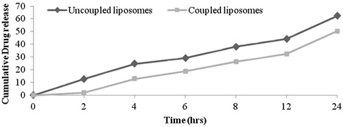 Figure 3. In vitro release profile of coupled and uncoupled liposomes in PBS (pH 7.4).