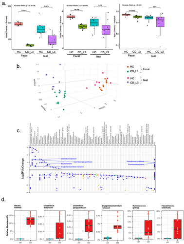 Figure 2. Analysis of the established microbiomes in GF mice humanized with HC and CD_L3 fecal samples.