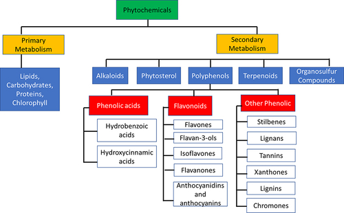Figure 5 Classification of known phytochemicals of F. carica.