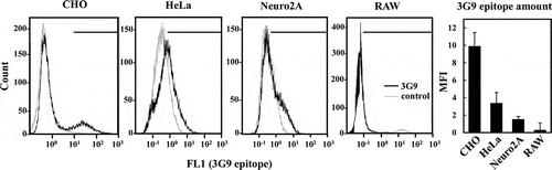 Figure 2. Flow cytometric analysis of the expression of 3G9 epitope in mammalian cell lines. CHO, HeLa, Neuro2A and RAW cell lines were immunostained with 3G9 (black) or control IgM (gray), followed by flow cytometry. The left four panels show one of representative data from triplicated experiments. The right panel shows the mean fluorescence intensity (MFI) of the 3G9 epitope profiles. The experiments were carried out in triplicate, and the error bars indicate the standard deviations.