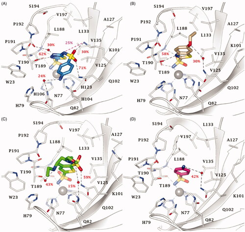 Figure 2. Most populated binding conformation along the MD trajectory for (A) 20 (blue), (B) EZA (tan), (C) BRZ (green), and (D) 2 (pink) within VchCA active site. H-bonds and salt bridge interactions are depicted as black and magenta dashed lines, respectively. The occupancy over the MD simulation of interactions not involving the zinc-binding group is indicated as percentage.