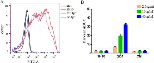 Figure 7. ADCC activity of mAbs against the H7N9 viruses. (A) Binding of mAbs to HP001-infected MDCK cells by flow cytometry. 1H10, 2D1 or control IgG antibody were tested at 5 µg/ml. (B) ADCC activities of 1H10, 2D1 or control IgG antibody against infected MDCK cells. Error bars represent the mean ± SEM. The indicated antibodies were tested at concentrations of 40, 10 and 2.5 µg/ml. The control IgG (1E7), the anti-syphilis antibody, was used as a control IgG. *P < 0.05, compared to the control IgG group.