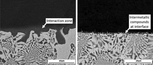 Figure 9. Back Scattered Electron image of the interface between filler metal Ag-155 and high purity copper (left) and low carbon steel (right).