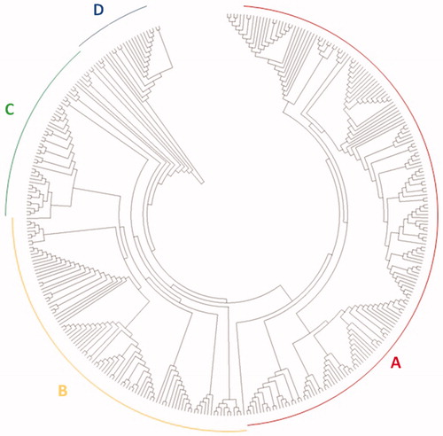 Figure 1. Dendrogram of all 360 Agaricus spp. accessions based on genotyping using 111 SNP markers. The dendrogram was generated using the neighbor-joining method in MEGA X with a bootstrap of 1000 [Citation8].