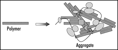 Figure 2 Prion polymers and aggregates. The aggregates represent irregular complexes containing multiple prion polymers and some additional proteins. In case of Sup35 these are presumably Sup35 functional partners, polyribosomes and chaperones.