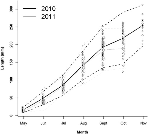 Figure 1. Mean length by month (solid line) plus/minus two times the monthly sample standard deviation (dashed line) for age-0 walleye collected from Harlan County Reservoir, Nebraska during 2010 and 2011.