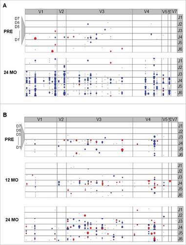 Figure 3. Exemplary IGH clonotype distribution of non-malignant B cell repertoires in the peripheral blood. A: Exemplary FCR treated patient. B: Exemplary ibrutinib treated patient. Coordinates of each dot are defined by the unique VH, DH and JH gene rearrangement. VH gene subgroups (V1-2 – V7-81) are shown from left to right, DH gene subgroups (D1-1 – D7-27) are shown from bottom to top. Dot size corresponds to the frequency. Blue color: unmutated VH gene sequence, red: hypermutated VH gene sequence.