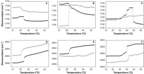 Figure 6. Temperature dependence of the frequencies of the (A, B, C) C = O carbonyl and (D, E, F) CH2 symmetric stretching bands for samples of (A, D) DMPC, (B, E) DMPG and (C, F) 14BMP in the pure form (▪) and in the presence of the DENV2C6 peptide (○). The phospholipid/peptide molar ratio was 15:1.