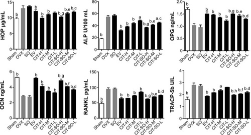 Figure 3 Serum parameters changes in the OVX model of osteoporosis.Notes: aP<0.05 compared to OVX; bP<0.01 compared to OVX; cP<0.05 compared to CIT-L; dP<0.01 compared to CIT-L; eP<0.05 compared to CIT-M; fP<0.01 compared to CIT-M; gP<0.05 compared to CIT-H; hP<0.01 compared to CIT-H.Abbreviations: OVX, ovariectomized; SO, suet oil; EV, estradiol valerate; CIT, circinal–icaritin; H, high dosage; M, medium dosage; L, low dosage; HOP, hydroxyproline; ALP, alkaline phosphatase; OPG, osteoprotegerin; OCN, osteocalcin; RANKL, receptor activator of nuclear factor-κB ligand; TRACP-5b, tartrate-resistant acid phosphatase 5b.