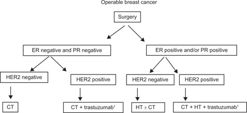 Figure 4 Proposed algorithm for the treatment of operable male breast cancer.