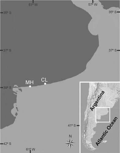 Fig. 1. Map of the Province of Buenos Aires showing sampling stations and location of the study area in Argentina. CL: Claromecó, MH: Monte Hermoso