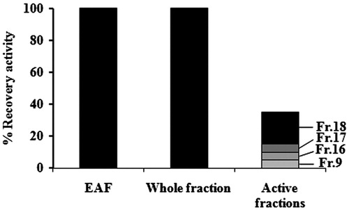 Figure 5. Antibacterial activity of EAF (unseparated extract), whole fraction (total of eluent fractions which were separated from EAF), and different active fractions from the preparative HPLC; fraction 9 (Fr.9), fraction 16 (Fr.16), fraction 17 (Fr.17), and fraction 18 (Fr.18) (getting individually each 2 min eluent fractions which separated from EAF).